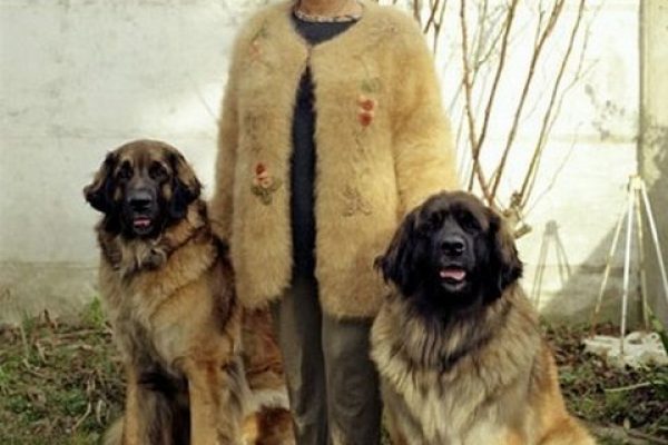 dogwool-photography-erwan-fichou-dog-owners-wearing-clothes-fur-of-their-dogs8