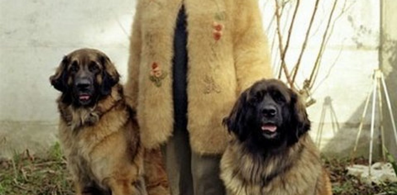 dogwool-photography-erwan-fichou-dog-owners-wearing-clothes-fur-of-their-dogs8