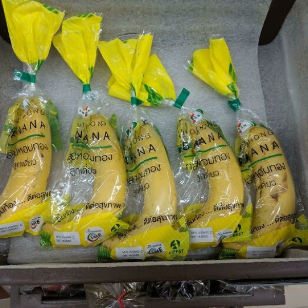 embalagens exageradas 16