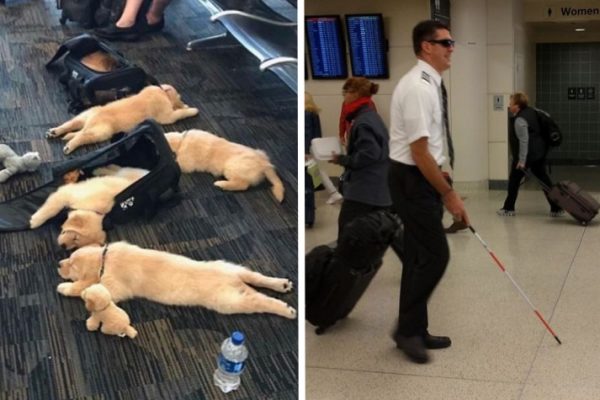 encontrados no aeroporto capa