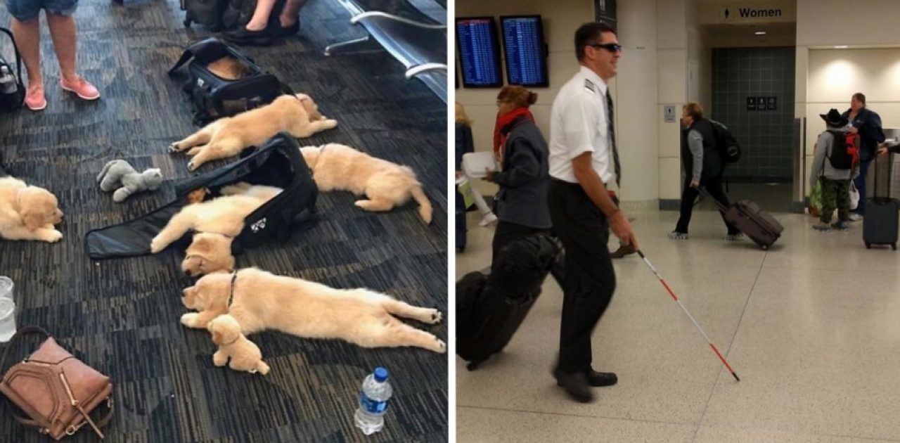 encontrados no aeroporto capa