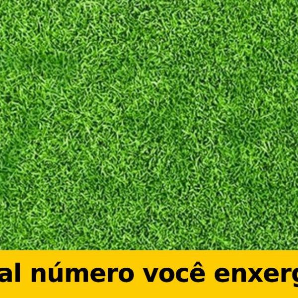 enigmas capa