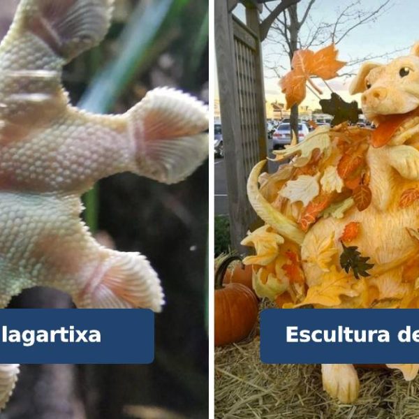 estranho e bizarro capa
