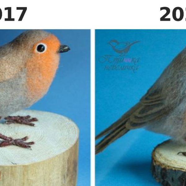 evolução do mundo capa