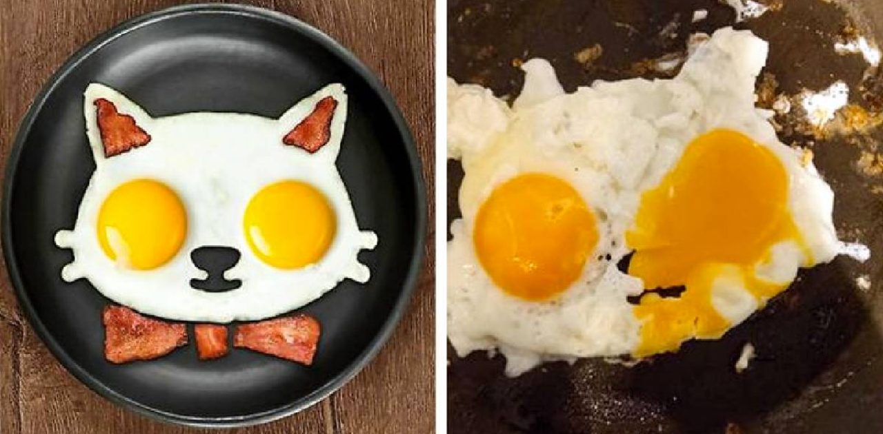 expectativa e realidade capa