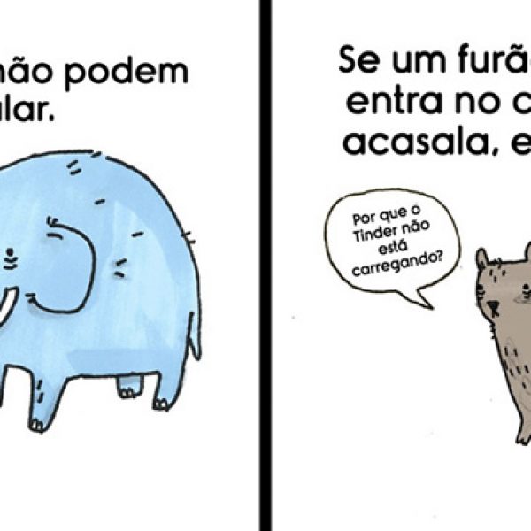 fatos sobre animais capa