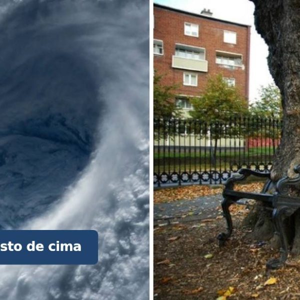 força da natureza capa