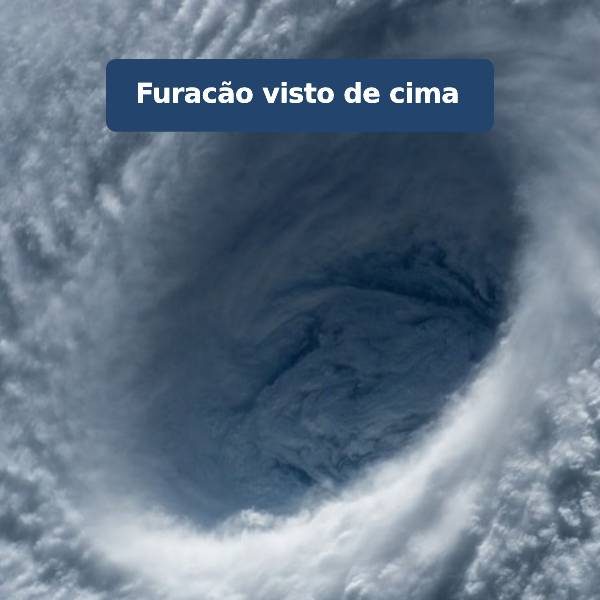 força da natureza mobile