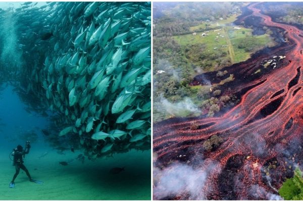 forças da natureza capa