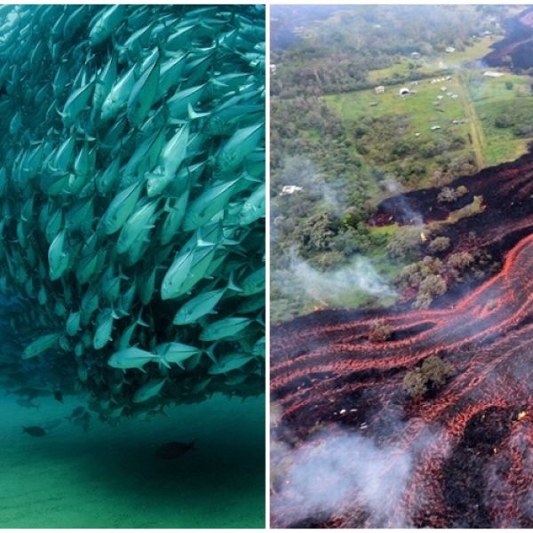 forças da natureza capa