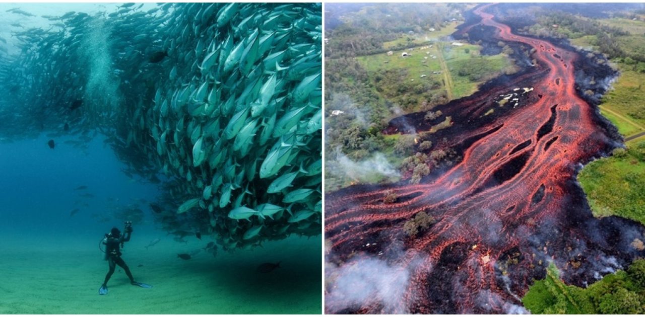 forças da natureza capa