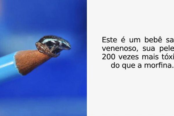 fotografias interessantes capa