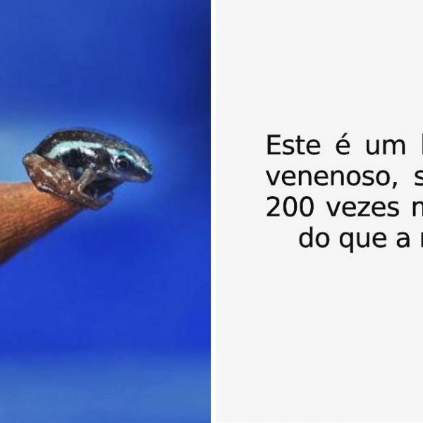 fotografias interessantes capa