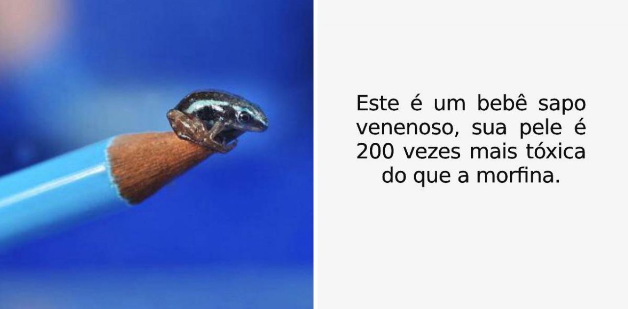 fotografias interessantes capa