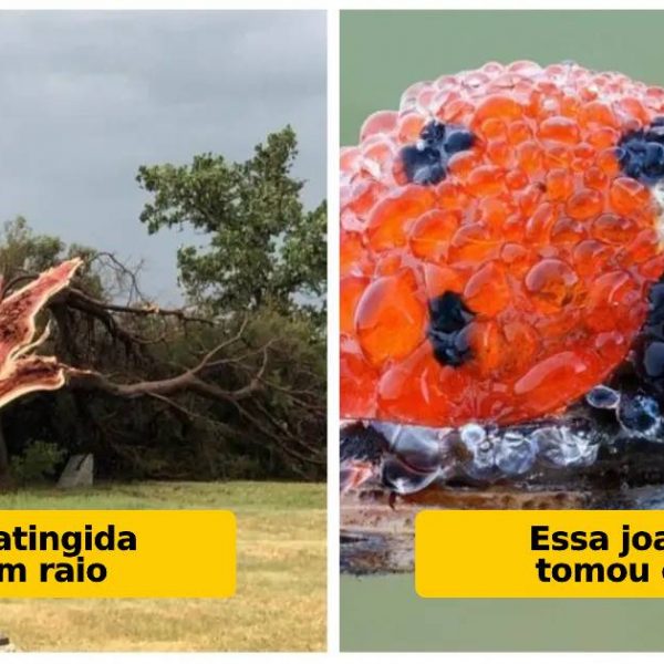 fotos amadoras capa