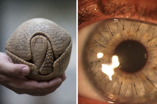fotos impressionantes capa