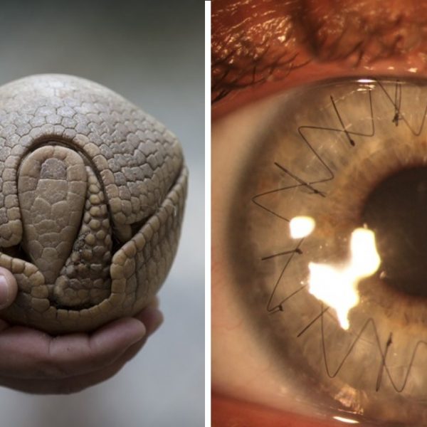 fotos impressionantes capa