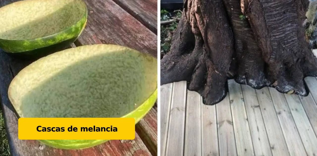fotos para acalmar capa