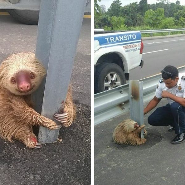 fotos pessoas devem ser gentis 01