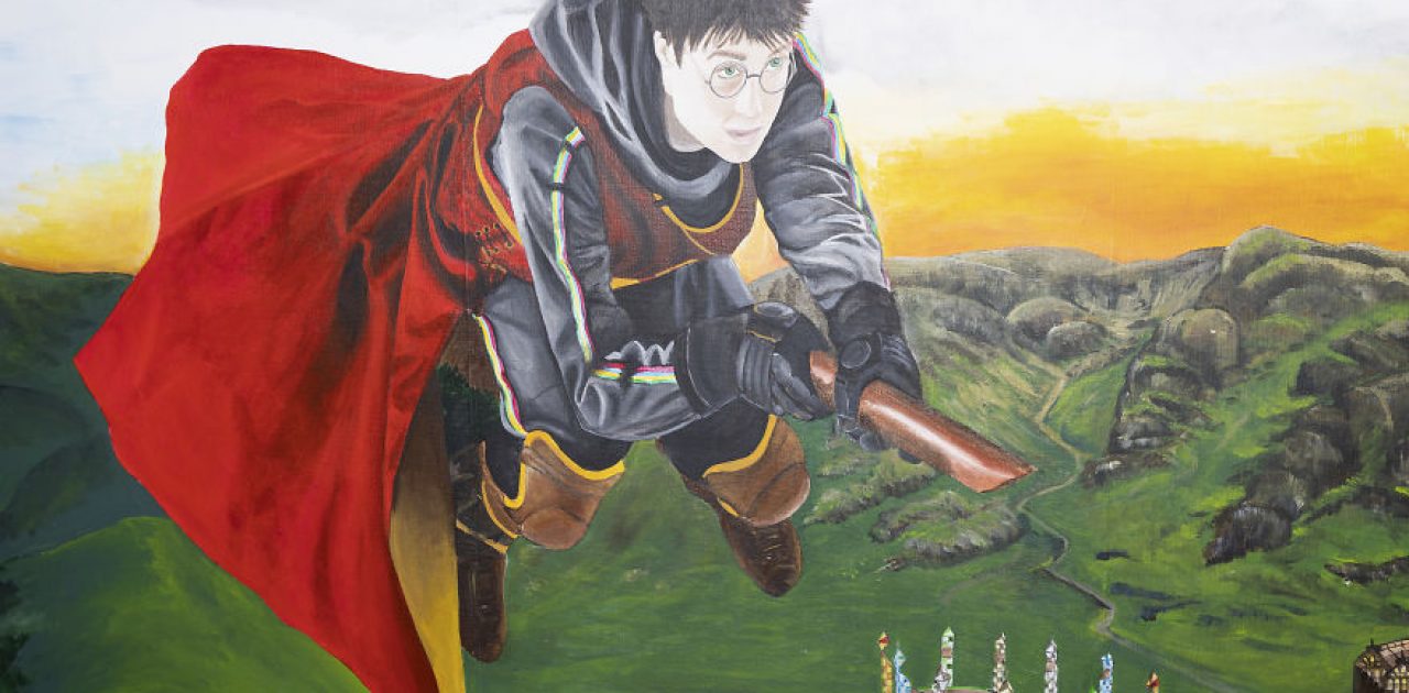 fã de Harry Potter 03