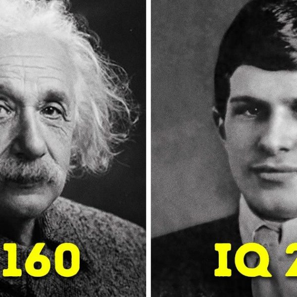 homem mais inteligente do mundo capa
