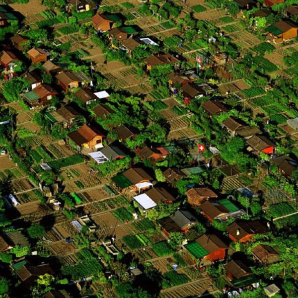 horta-comunitaria-1
