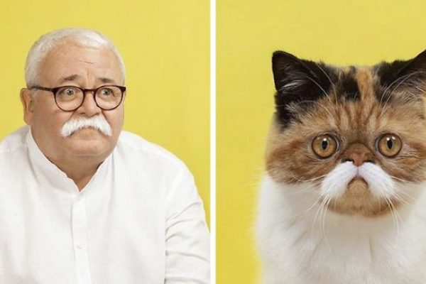 humano e gato capa