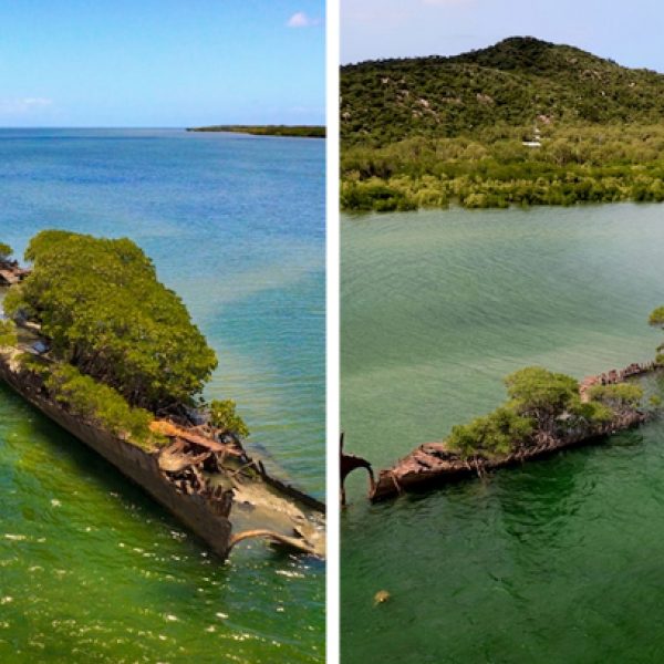 ilha flutuante capa