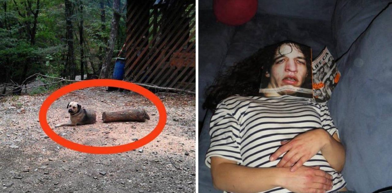 imagens confusas capa
