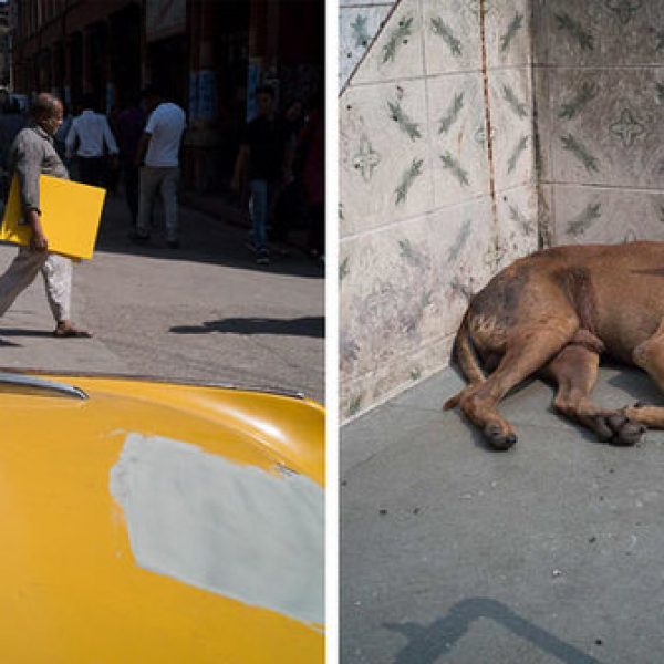 imagens diferentes capa