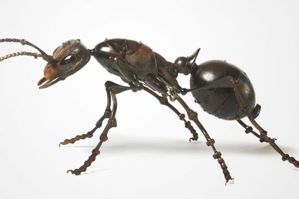 insect-sculptures-edouard-martinet-14