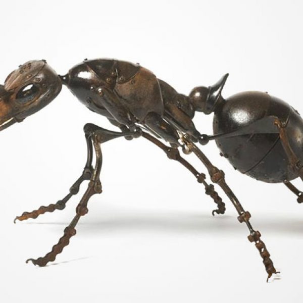 insect-sculptures-edouard-martinet-14