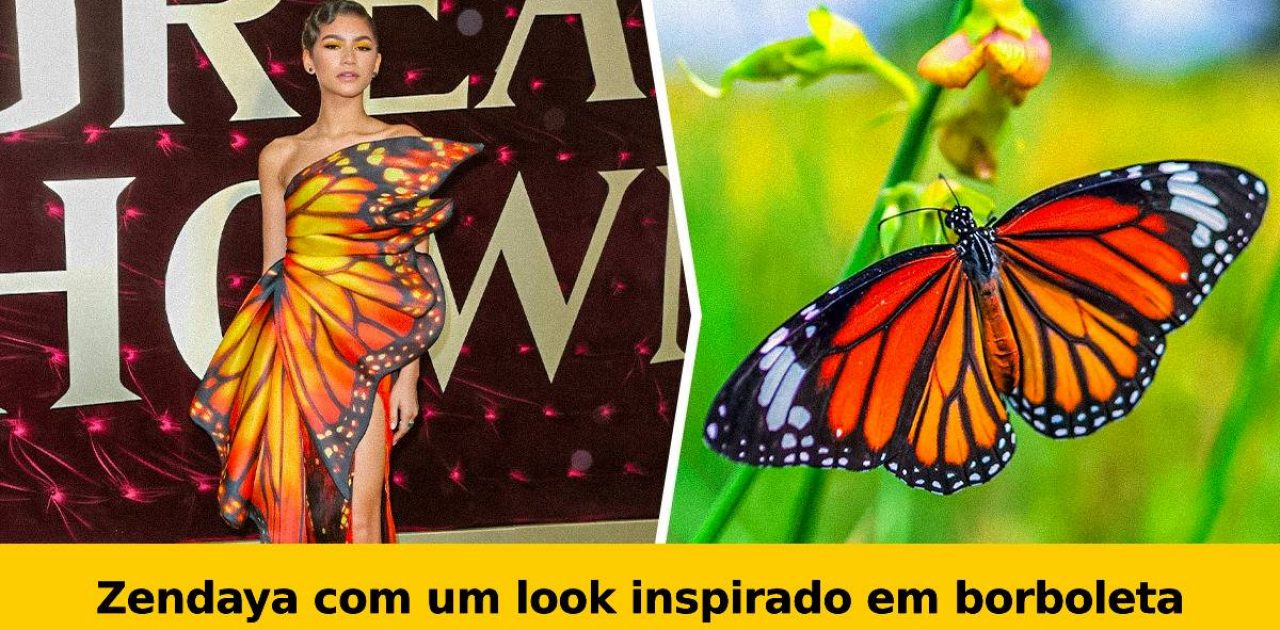 inspiração animal capa