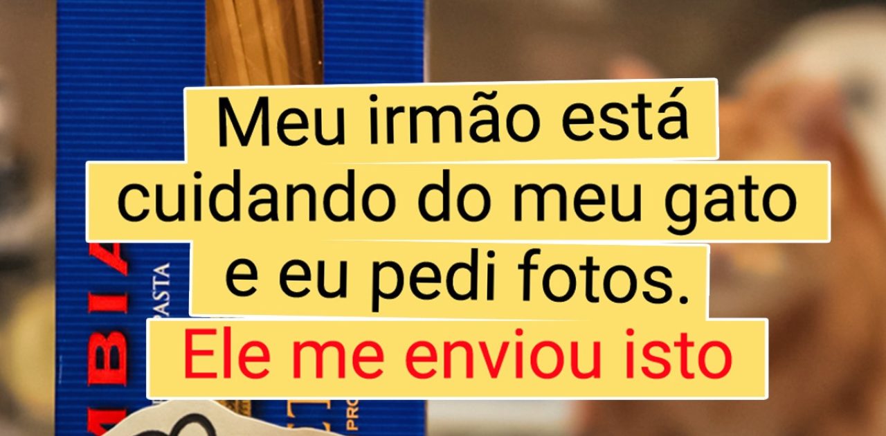 irmãos e irmãs capa