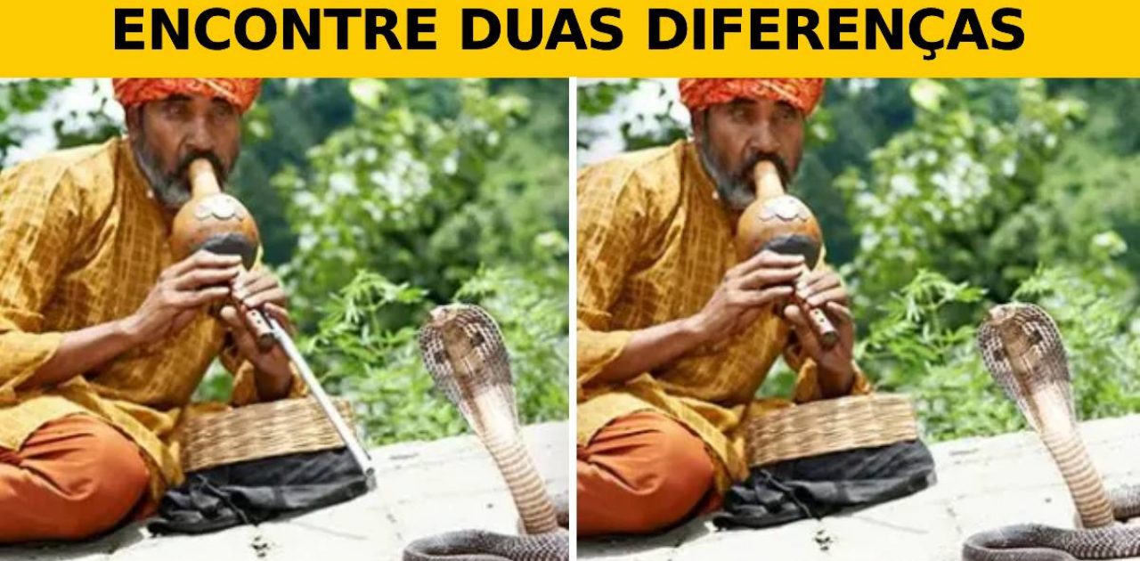 jogo das diferenças capa