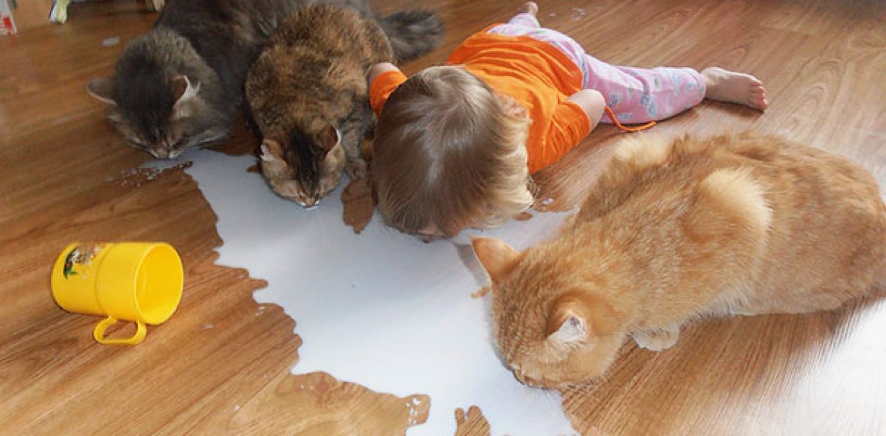 kids-act-like-animals-cats__605