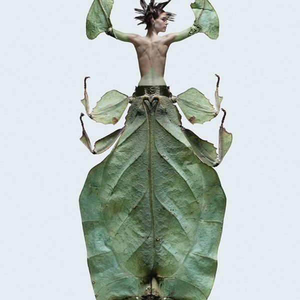 laurent-seroussi-insectes-women-insects-hybrids-03
