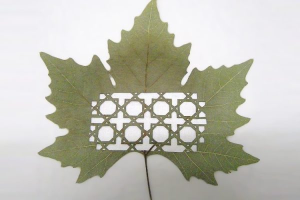 leafartcut_04