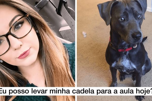 levar cachorra na escola capa