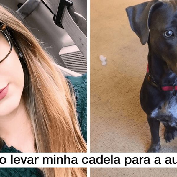 levar cachorra na escola capa