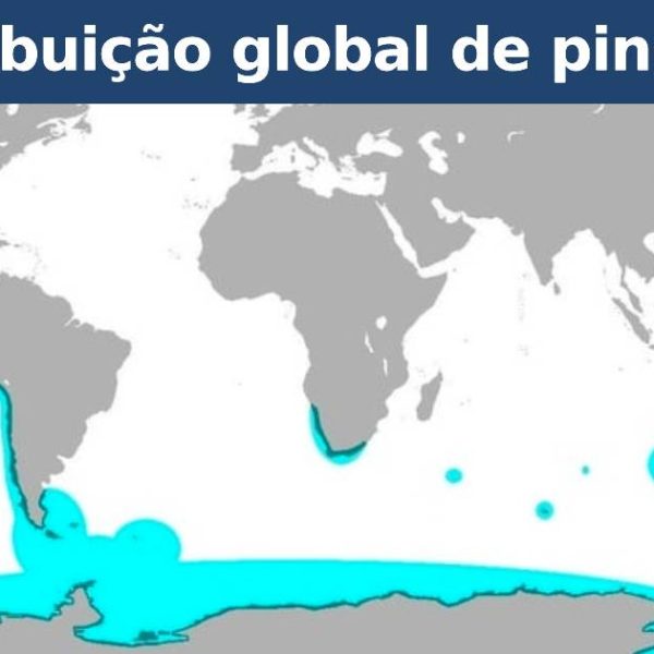 mapas do mundo capa