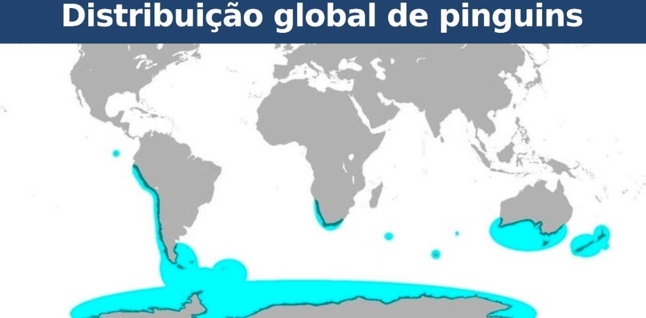 mapas do mundo capa