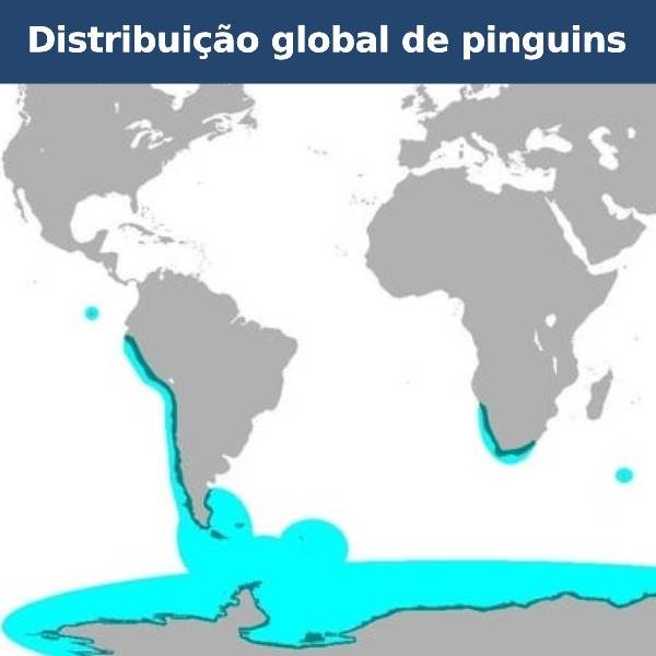 mapas do mundo mobile