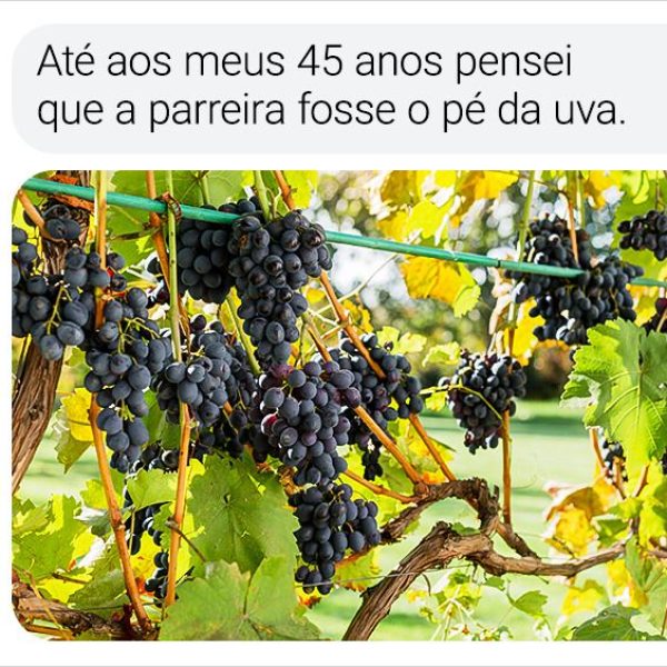 medo de compartilhar 14