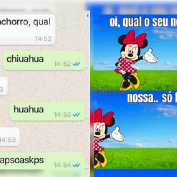 mini saia 1