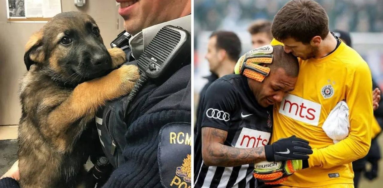 momentos de ternura capa