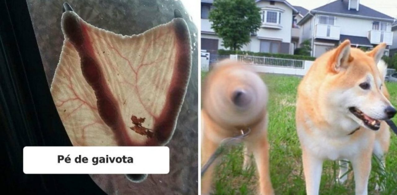 momento certo capa