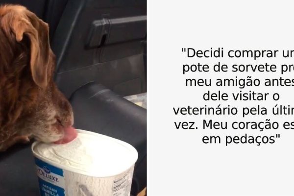 momentos da vida capa