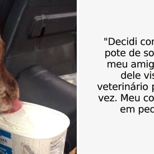 momentos da vida capa