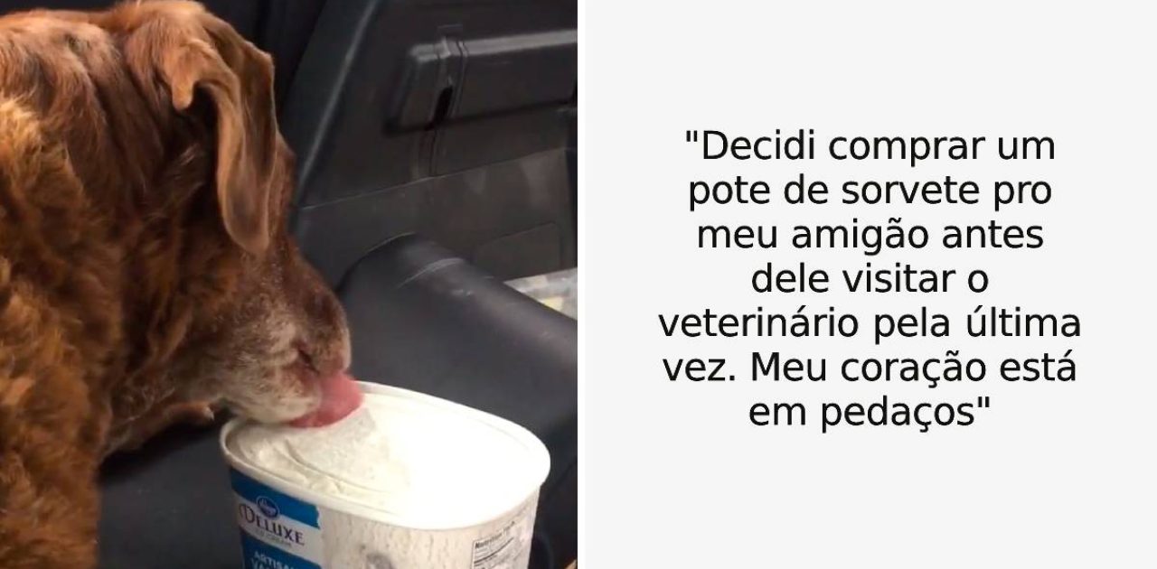 momentos da vida capa